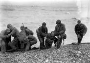 384597548 Omaha Beach Fox Red 384597548 Omaha Beach Fox Red