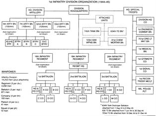Organizational chart for the 1st division during late WWII